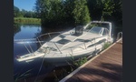 Bayliner 2655 Cierra Sunbridge-kuva-13